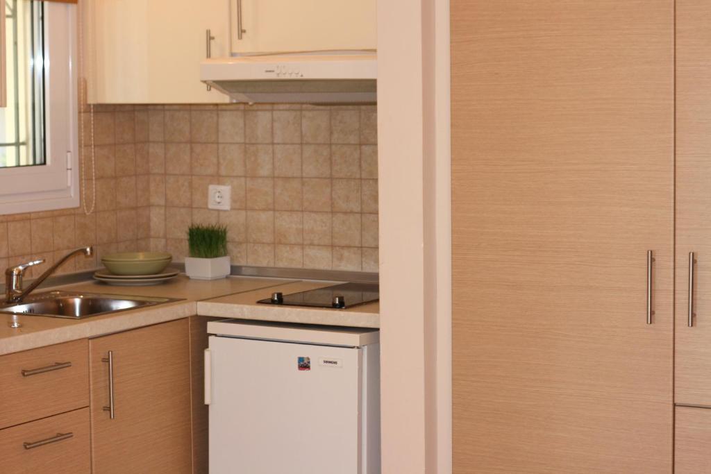 Akis Apartments ปาเลโอกัสไตรซา ภายนอก รูปภาพ