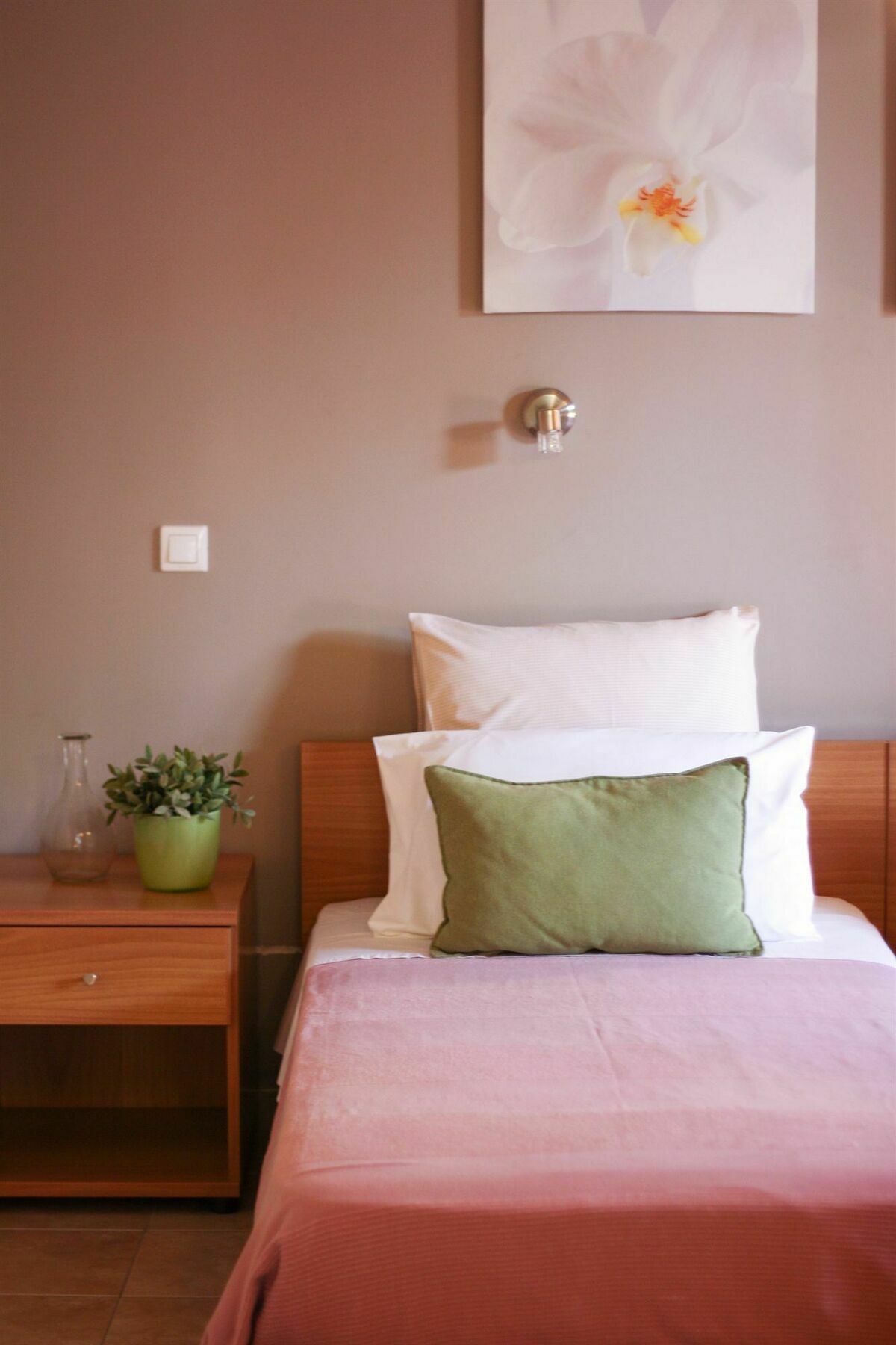 Akis Apartments ปาเลโอกัสไตรซา ภายนอก รูปภาพ